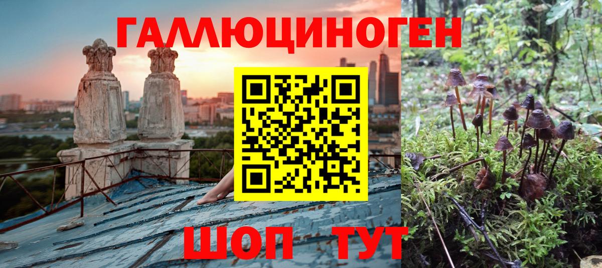 Галлюциногенные грибы Psilocybe Симферополь